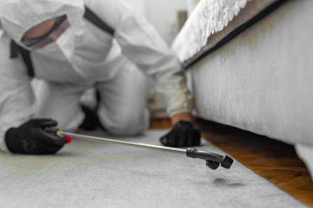 Professional Bed Bug Control technician working in Shelby County County, TN